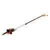 Black & Decker BECSP601 8 Amp 10 In. Corded 2-in-1 Pole Chainsaw -BLACK+DECKER Sales bdknbecsp601